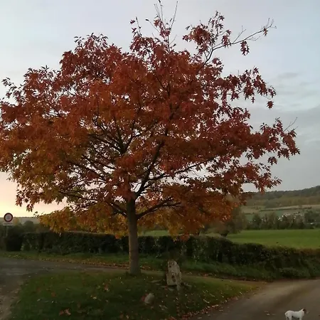 Tranquillite- Jardin- Wifi- Pere Louis Villy-sur-Yeres