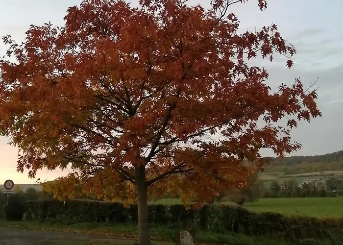 Tranquillite- Jardin- Wifi- Pere Louis Villy-sur-Yeres